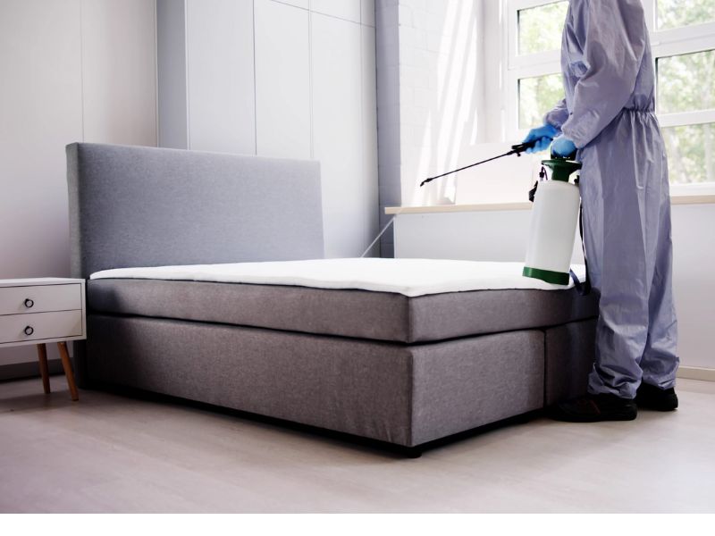 punaises de lit insecticide