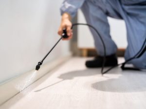 pesticide toxique punaises de lit