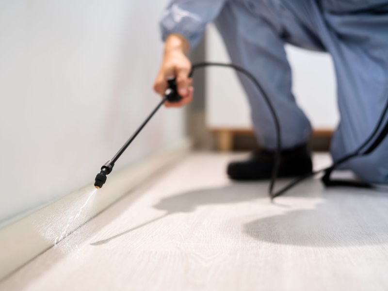 pesticide toxique punaises de lit