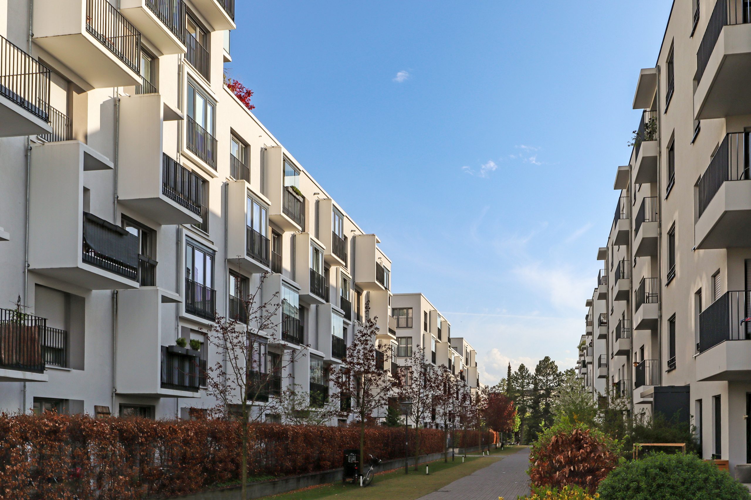 Punaises de lit en copropriété