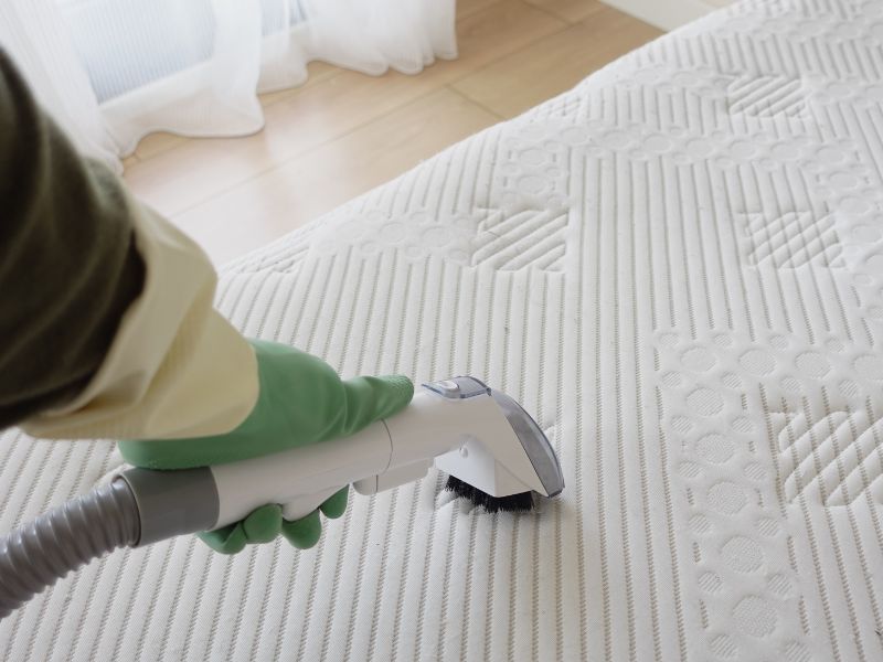 matelas reconditionné punaises de lit